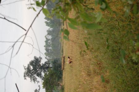 Naruemon Padsamran's Residency at Womanifesto (Set of 63 Photographs)