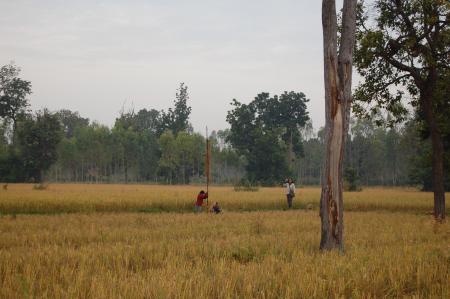 Naruemon Padsamran's Residency at Womanifesto (Set of 63 Photographs)