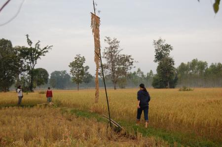 Naruemon Padsamran's Residency at Womanifesto (Set of 63 Photographs)