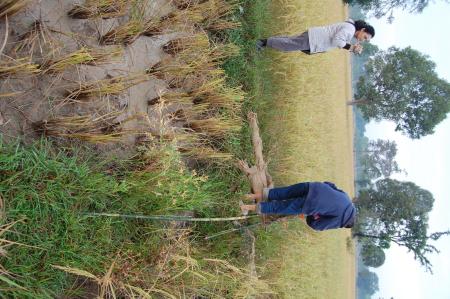 Naruemon Padsamran's Residency at Womanifesto (Set of 63 Photographs)