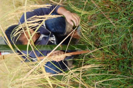 Naruemon Padsamran's Residency at Womanifesto (Set of 63 Photographs)