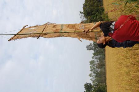 Naruemon Padsamran's Residency at Womanifesto (Set of 63 Photographs)