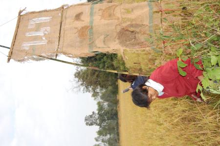 Naruemon Padsamran's Residency at Womanifesto (Set of 63 Photographs)