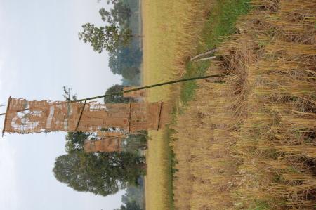 Naruemon Padsamran's Residency at Womanifesto (Set of 63 Photographs)