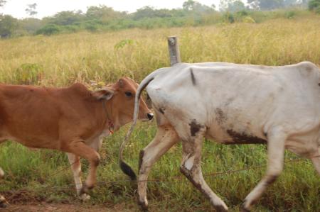 Naruemon Padsamran's Residency at Womanifesto (Set of 63 Photographs)