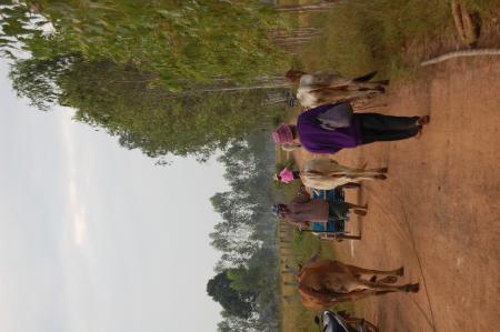 Naruemon Padsamran's Residency at Womanifesto (Set of 63 Photographs)