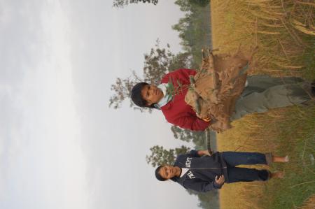 Naruemon Padsamran's Residency at Womanifesto (Set of 63 Photographs)