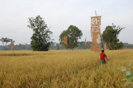 Naruemon Padsamran's Residency at Womanifesto (Set of 63 Photographs)