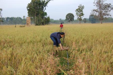 Naruemon Padsamran's Residency at Womanifesto (Set of 63 Photographs)