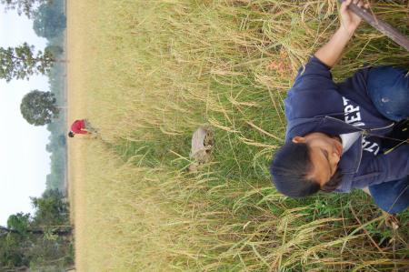 Naruemon Padsamran's Residency at Womanifesto (Set of 63 Photographs)