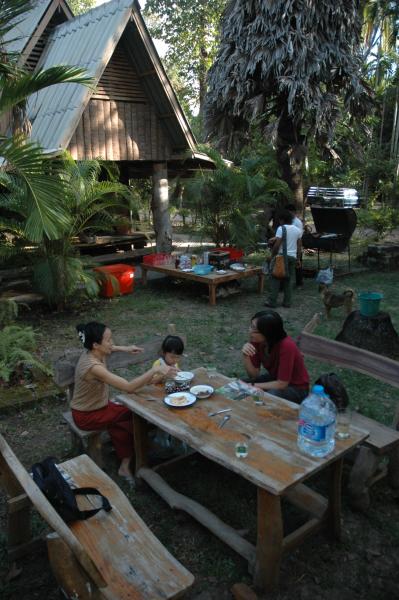 Pre-Residency Activities at Boon Bandarn Farm (28 Photographs)