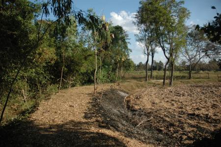 Pre-Residency Activities at Boon Bandarn Farm (28 Photographs)