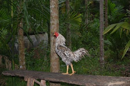 Womanifesto Residency Everyday Activities (Set of 115 Photographs)