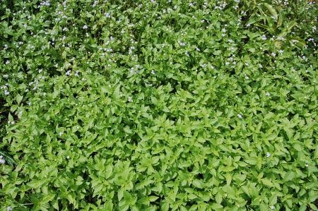 Womanifesto Residency Everyday Activities (Set of 115 Photographs)