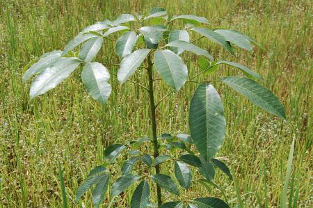 Womanifesto Residency Everyday Activities (Set of 115 Photographs)