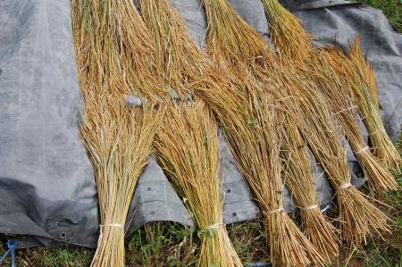 Womanifesto Residency Everyday Activities (Set of 115 Photographs)