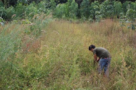 Womanifesto Residency Everyday Activities (Set of 115 Photographs)