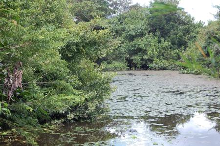 Womanifesto Residency Everyday Activities (Set of 115 Photographs)