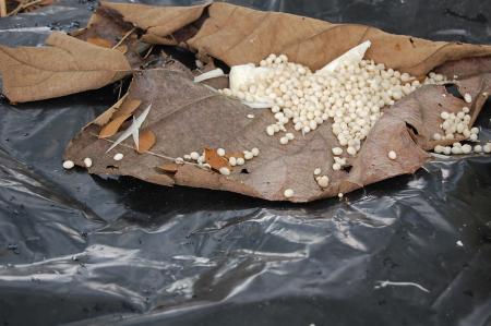 Womanifesto Residency Everyday Activities (Set of 115 Photographs)