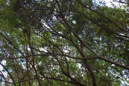 Womanifesto Residency Everyday Activities (Set of 115 Photographs)