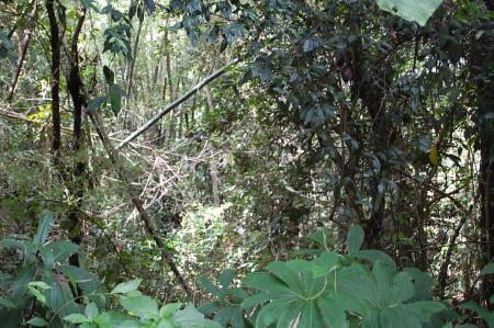 Womanifesto Residency Everyday Activities (Set of 115 Photographs)