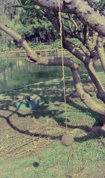 Stand Beside the River (Set of 2 Photographs)