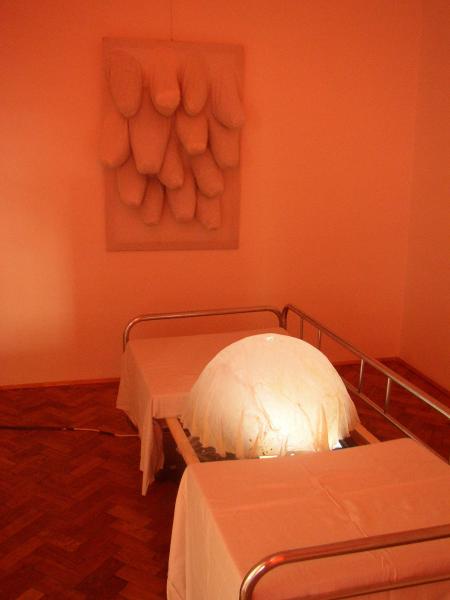 Video/Sound Installation by Jana Francova and Oil Paintings by Jan Bruzenak (Set of 3 Photographs)