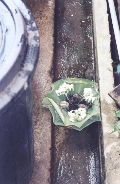 Artwork by Nitaya Ueareeworakul (Set of 4 Photographs)