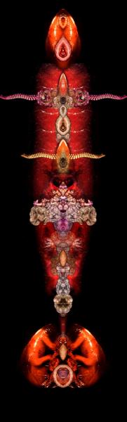 Artwork by Tina Gonzales (Set of 3 Images)