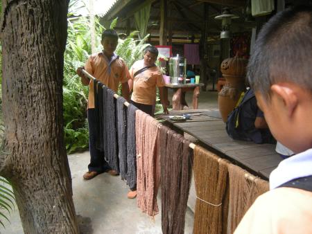 Natural Bark Dyeing Presentation (Set of 14 Photographs)