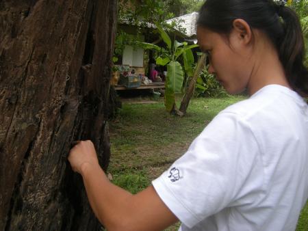 Wire Sculpture Workshop (Set of 28 Photographs)