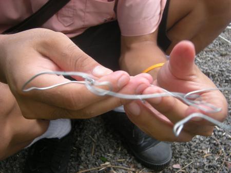 Wire Sculpture Workshop (Set of 28 Photographs)