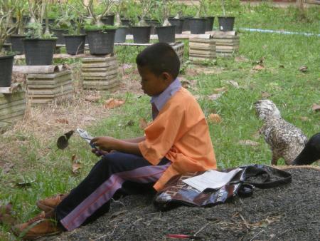 Wire Sculpture Workshop (Set of 28 Photographs)