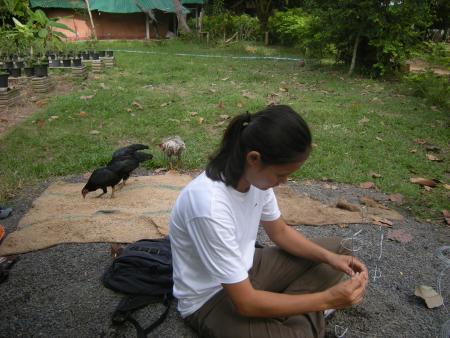 Wire Sculpture Workshop (Set of 28 Photographs)