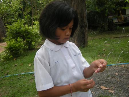 Wire Sculpture Workshop (Set of 28 Photographs)