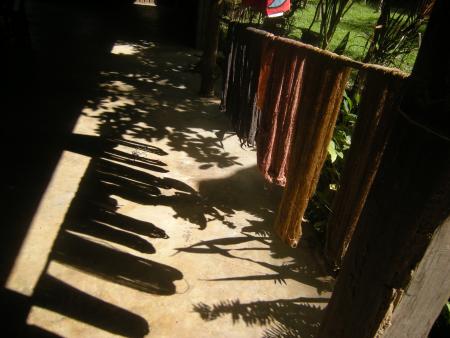 Natural Bark Dyeing Presentation (Set of 14 Photographs)