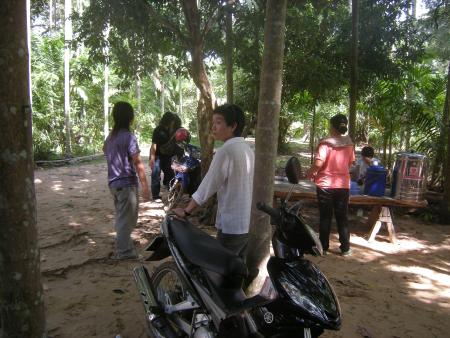 General Workshop Photos (Set of 25 Photographs)