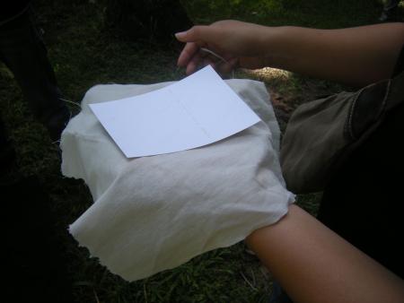 Casting Off a Memory — Workshop (Set of 66 Photographs)