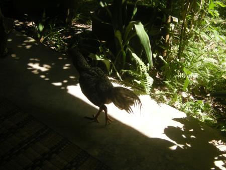 General Workshop Photos (Set of 25 Photographs)