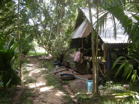 Tie Dye Workshop (Set of 94 Photographs)