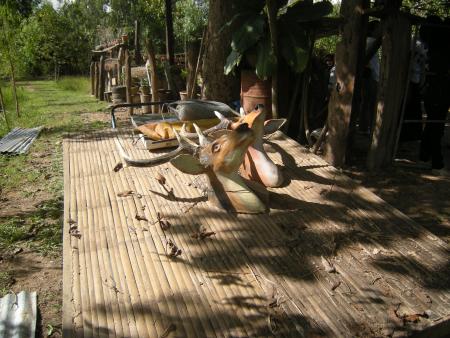 Human Sculpture Workshop (Set of 55 Photographs)