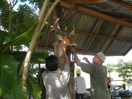 Human Sculpture Workshop (Set of 55 Photographs)