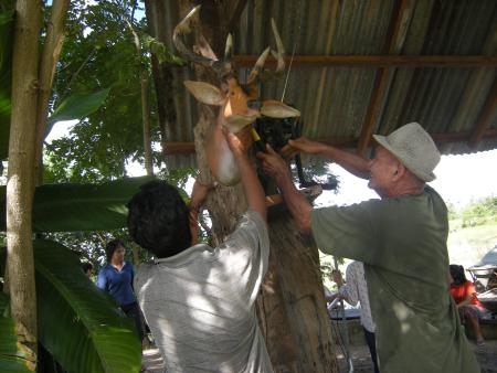 Human Sculpture Workshop (Set of 55 Photographs)