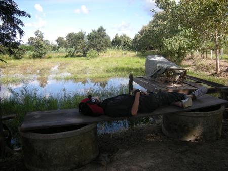 Human Sculpture Workshop (Set of 55 Photographs)