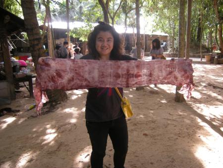 Tie Dye Workshop (Set of 94 Photographs)