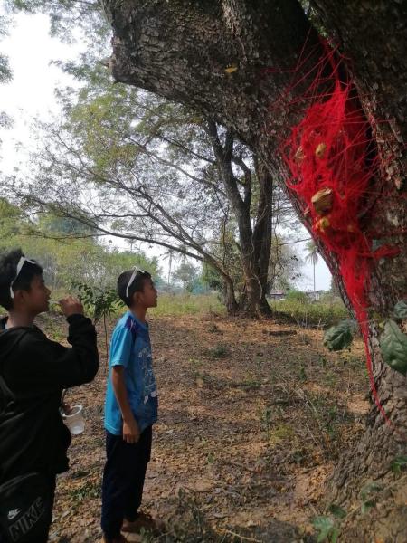 womanifesto workshop 2023