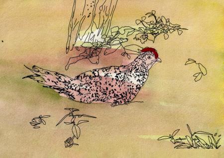 Lena Eriksson Drawing for Womanifesto at Sharjah Biennale_5 chicken_A4.